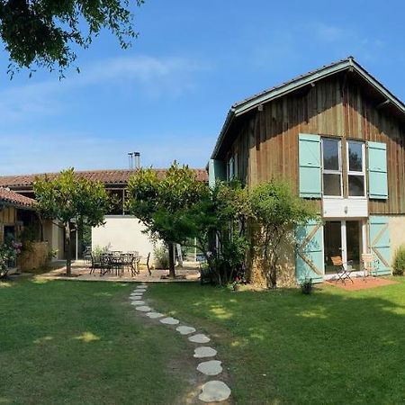 Majellon Grand Appartement Sainte-Christie-d'Armagnac 외부 사진